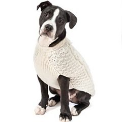 Boston terrier sweater from kohl's sale