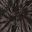 Spider Black