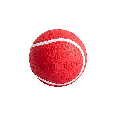 Playology Squeaky Chew Ball Beef Dog Toy