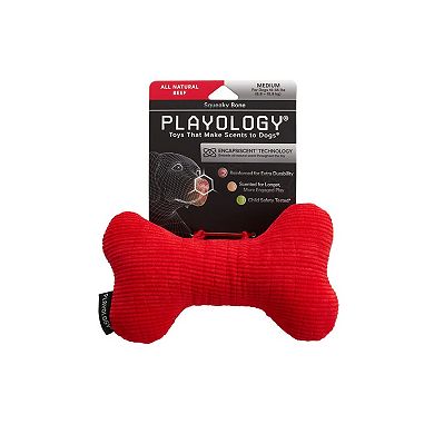 Playology Plush Bone Beef Dog Toy