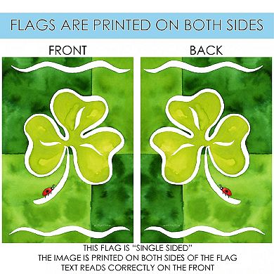 Little Ladybug St. Patrick's Day Outdoor House Flag 40" x 28"