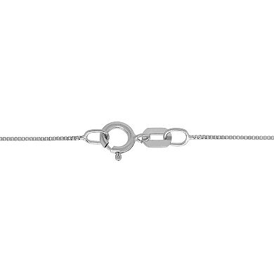 Everlasting Gold 14k White Gold Polish Box Chain Necklace