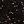 Black Plum Black