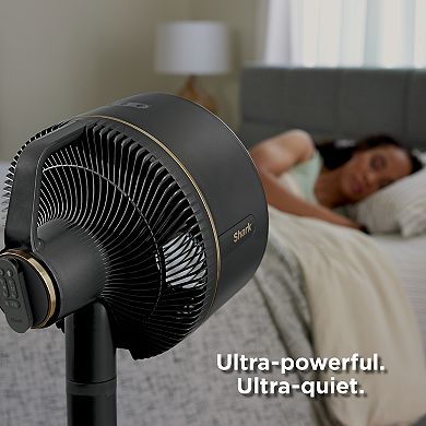 Shark FlexBreeze Outdoor & Indoor Fan with InstaCool Misting attachment. Portable, Quiet, Powerful (FA222)