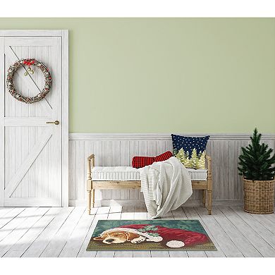 Liora Manne Esencia Nap In A Cap Indoor/Outdoor Doormat