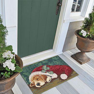Liora Manne Esencia Nap In A Cap Indoor/Outdoor Doormat