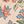 Paisley Affairs