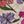 Loops Floral Signature