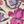 Loops Floral Signature