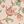 Paisley Affairs