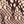 Coffee Bean Warm Taupe
