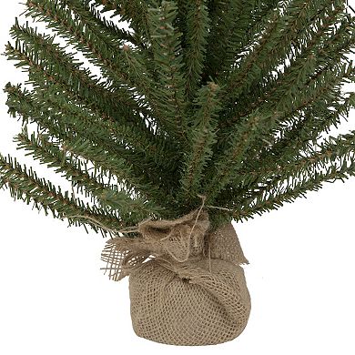 18" Traditional Scottsdale Mini Pine Artificial Christmas Tree with Burlap Unlit