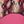 Fuschia