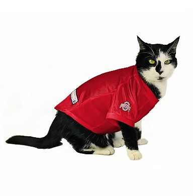 NCAA Ohio State Buckeyes Pet Stretch Jersey by Little Earth