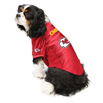 Chiefs orders gear for dogs