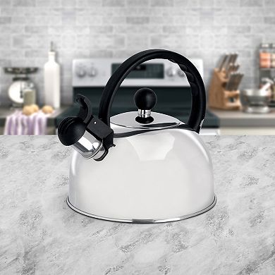 Gibson Springberry 2.25 Qt. Stainless Steel Kettle