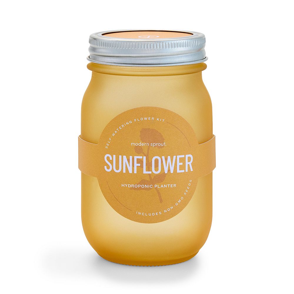 Modern Sprout Sunflower Pint Jar Grow Kit