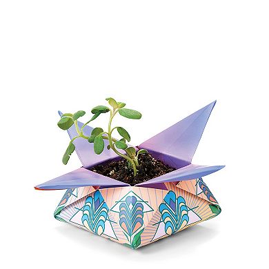 Modern Sprout Cosmic Seed Kits - Air