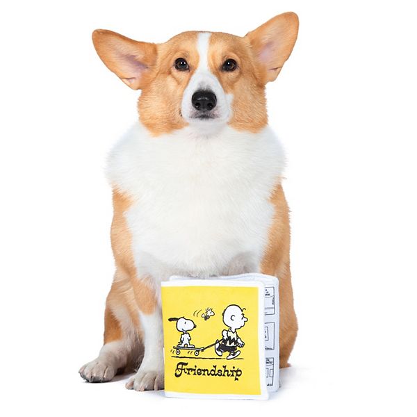 Peanuts Crinkle Accordion Book Treat Dispensing Pet Toy - Multi