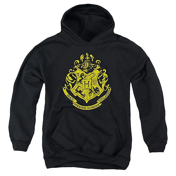 Harry Potter Hogwarts Crest Youth Pull Over Hoodie