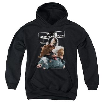 Fantastic Beasts 2 Cuddle Puddle Youth Pull Over Hoodie