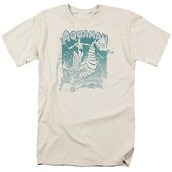 Dc Comics Aquaman Catch A Wave Short Sleeve Adult T-shirt