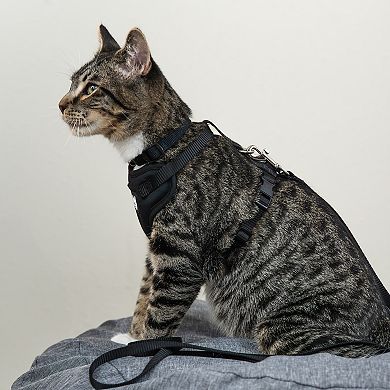 Kitty City Pink Cat Harness & Leash Set