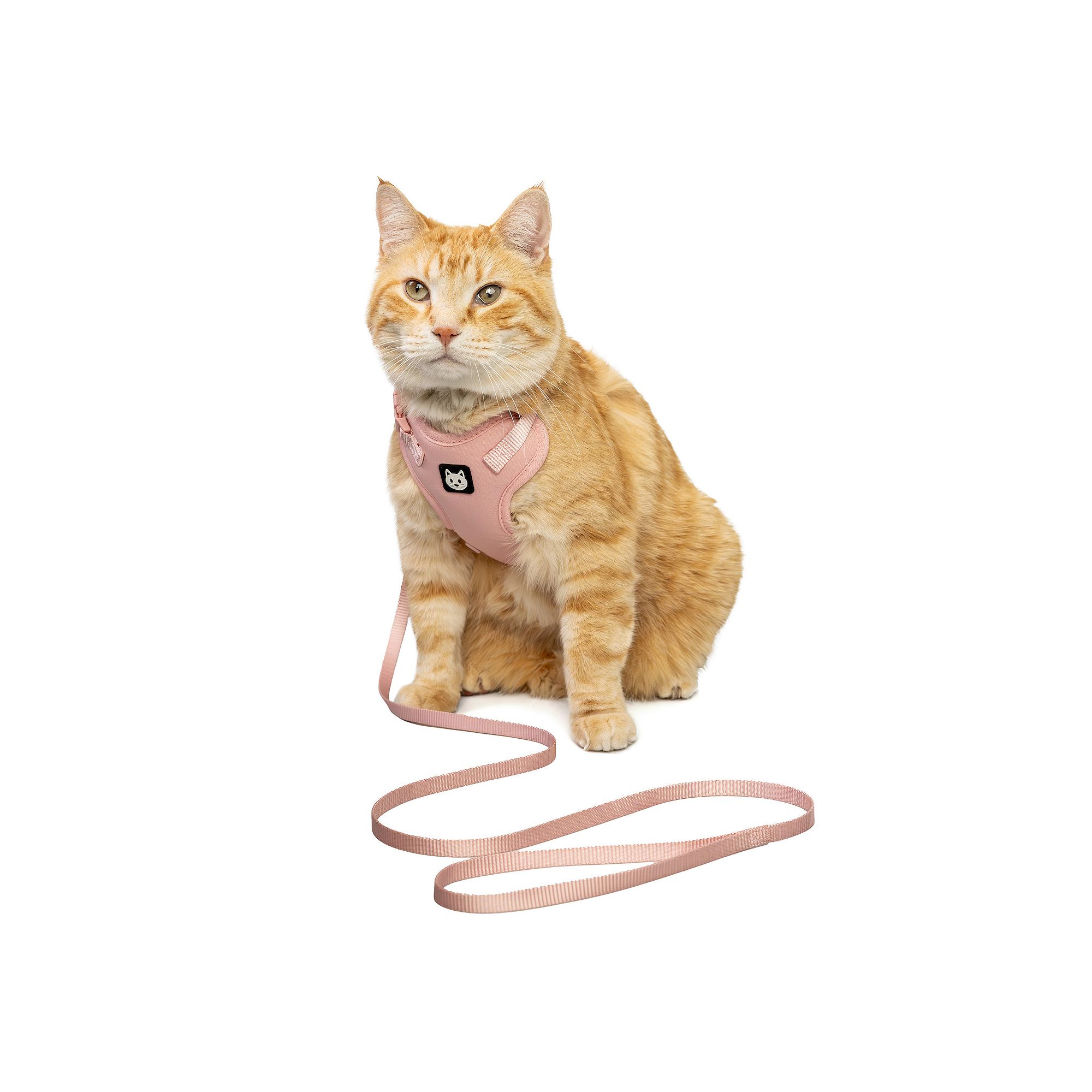 Kitty City Pink Cat Harness & Leash Set