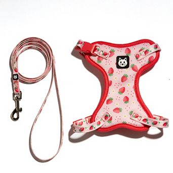 Kitty City Pink Cat Harness & Leash Set