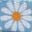 Blue Daisey