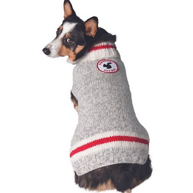 Chilly Dog Squirrel Patrol Dog Sweater