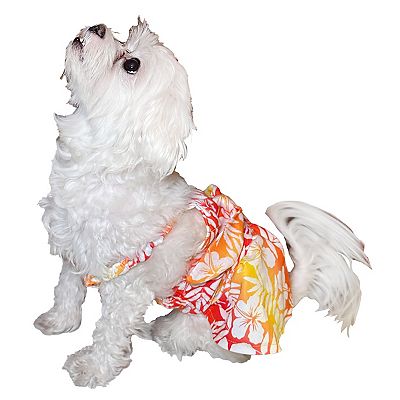 Hawaiian dog dress 2025