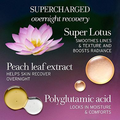 Lotus Youth Preserve Radiance Renewal Night Cream