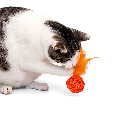 Kitty City Multi-Colored Wicker Ball Toys 2-pk.