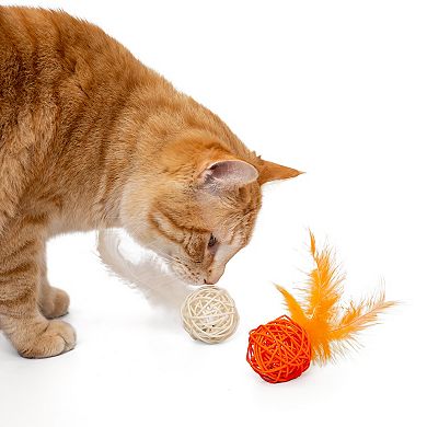 Kitty City Multi-Colored Wicker Ball Toys 2-pk.