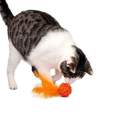 Kitty City Multi-Colored Wicker Ball Toys 2-pk.