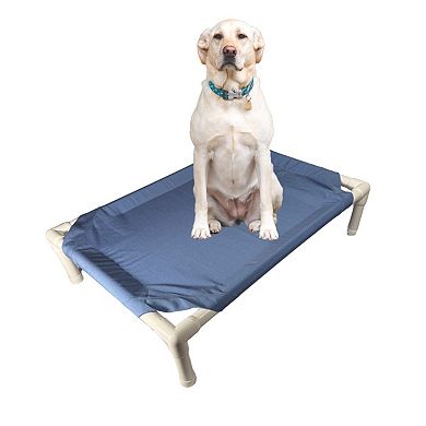 Truman + Teddy (Pool) Easy-to-clean Handcrafted Elevated, Cot-Style Dog Bed