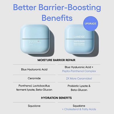 Water Bank Blue Hyaluronic Cream Moisturizer for Moisture Barrier Repair