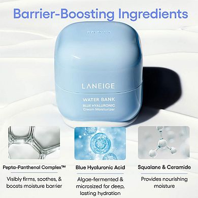 Water Bank Blue Hyaluronic Cream Moisturizer for Moisture Barrier Repair