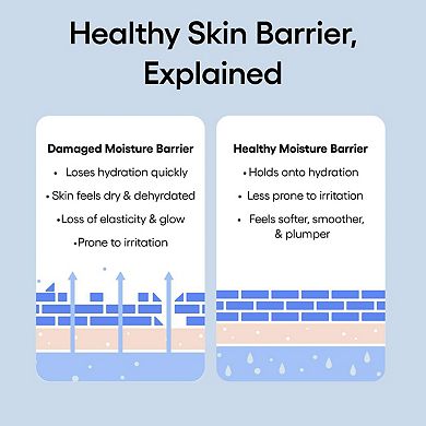Mini Water Bank Blue Hyaluronic Cream Moisturizer for Moisture Barrier Repair