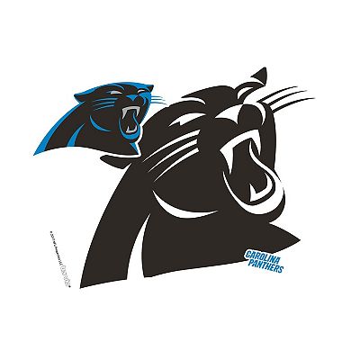 Tervis Carolina Panthers 24oz NFL 2 PACK Genuine & Forever Fan
