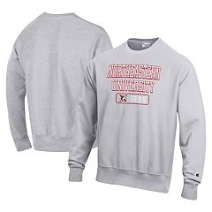 Champion sweater mens canada kohls best sale