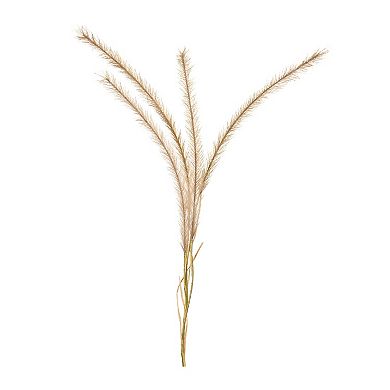 Beige Fox Tail Stem (set Of 6)