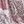 Paisley Pink