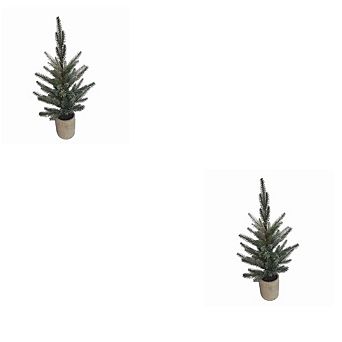Pine Tree In Plastic Pot - 24 in (set Of 2)