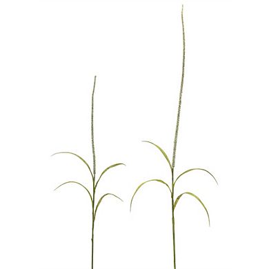Foxtail Grass Spray (set Of 12)
