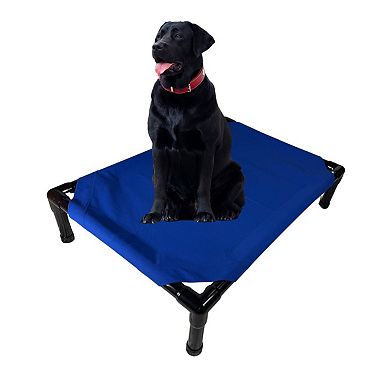 Truman + Teddy (Be Royal) Easy-to-clean Handcrafted Elevated, Cot-Style Dog Bed 