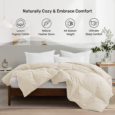 Unikome Medium Weight Organic Goose Down Comforter Fluffy Duvet Insert for All-Season