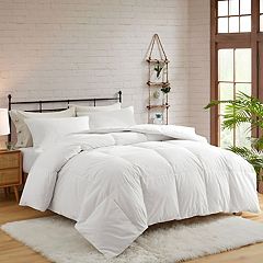 Kohls goose shop down comforters