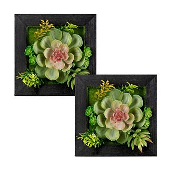Hanging Succulent Box Wall Décor (set Of 6)